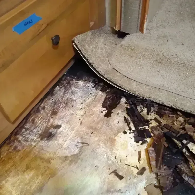 Best Wood Floor Water Damage Service in Potomac Park, MD